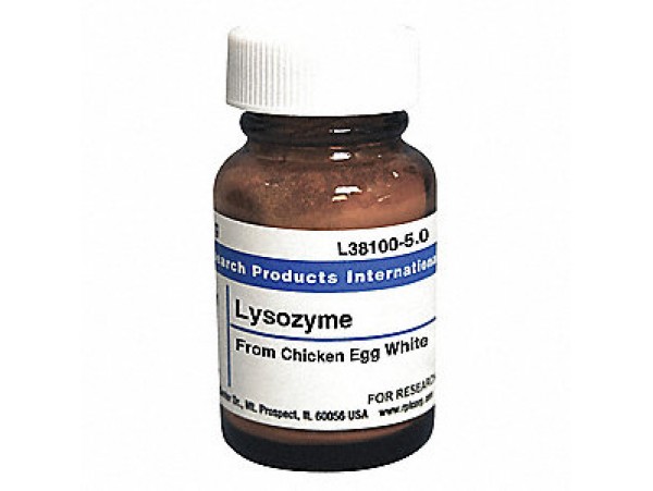 Lysozyme from chicken l6876-10GR